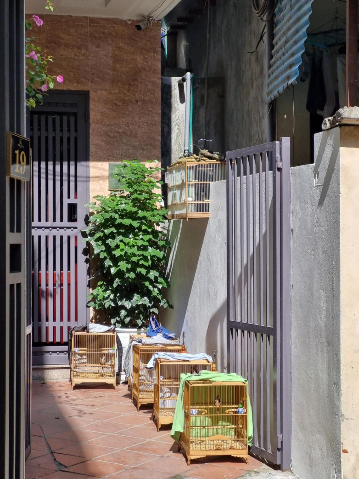 May'S Cottage Hanoi Bagian luar foto