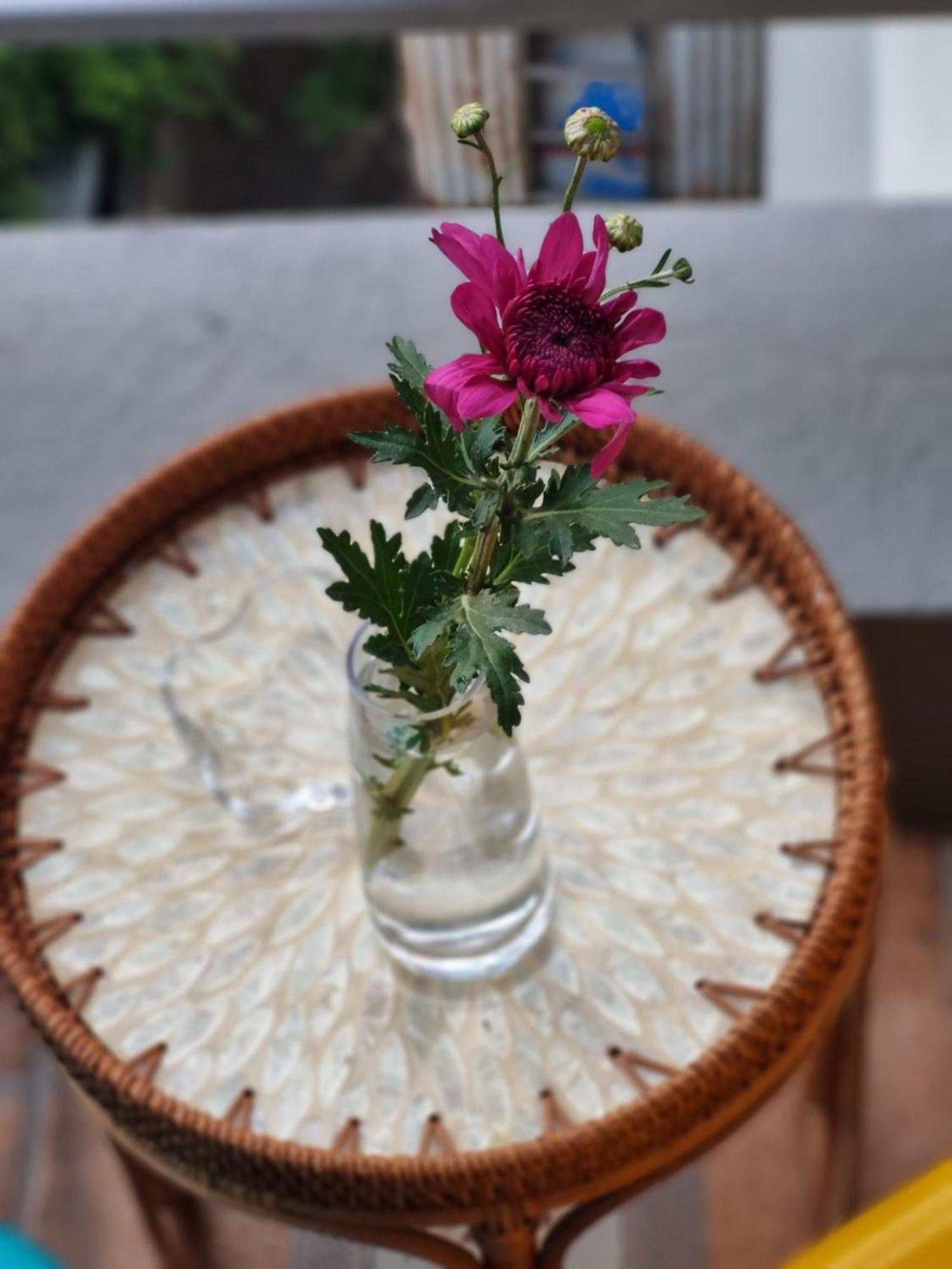 May'S Cottage Hanoi Bagian luar foto