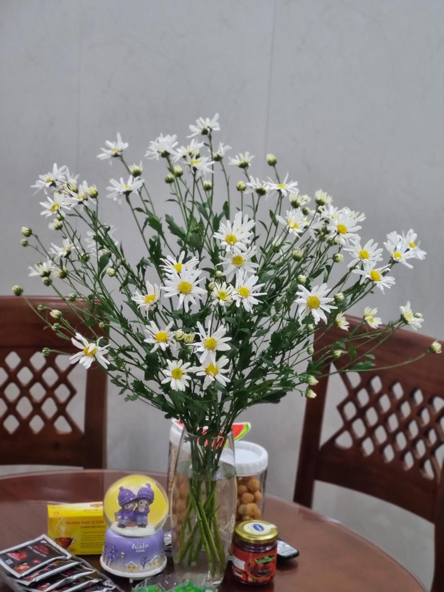 May'S Cottage Hanoi Bagian luar foto