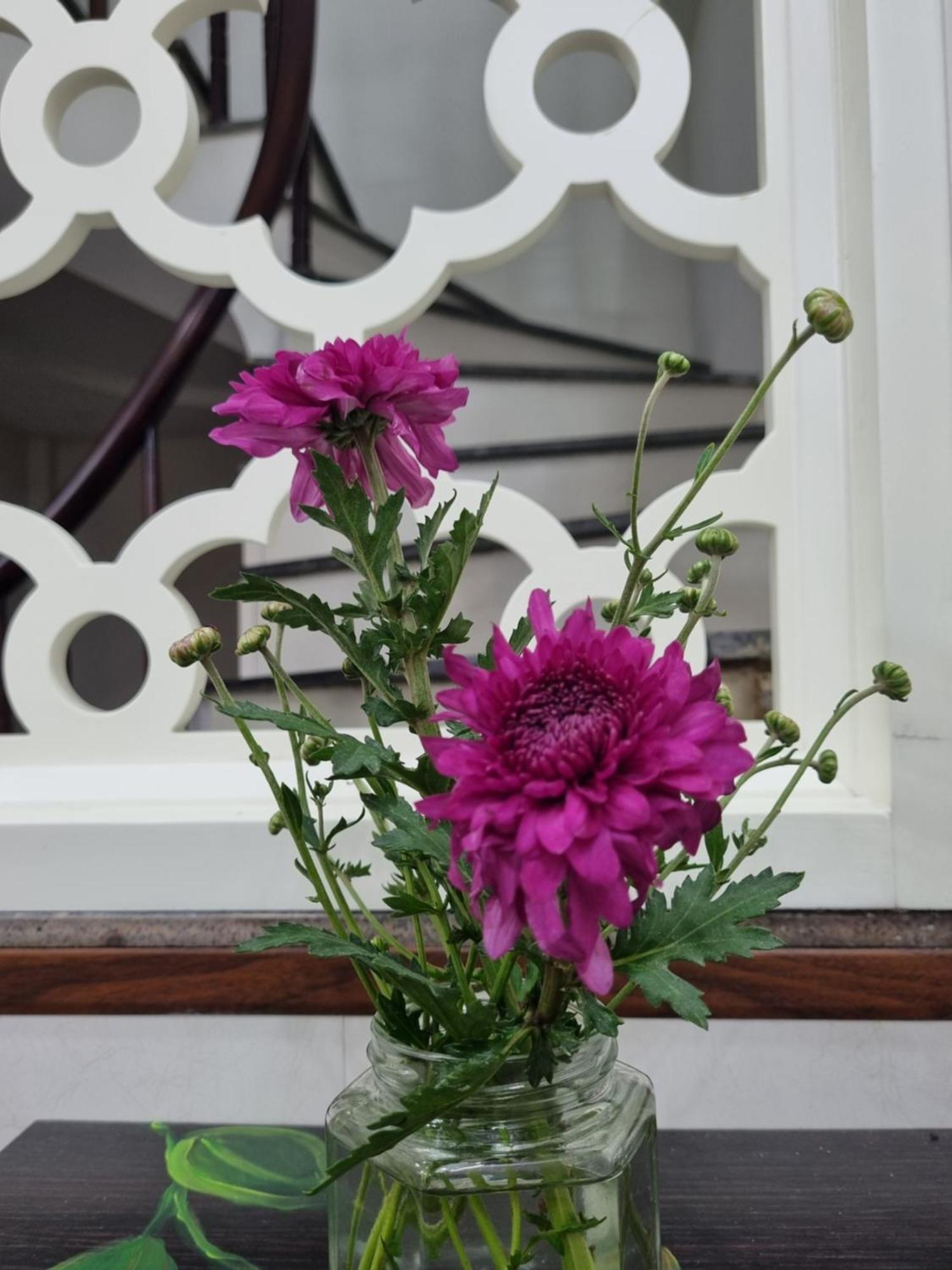 May'S Cottage Hanoi Ruang foto